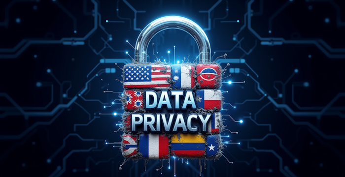 Understanding Data Privacy and Its Importance to Business Executives